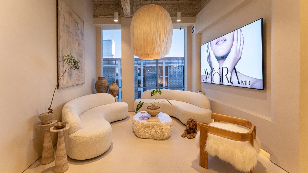 A wide image of the AMora waiting room. The room has two white couches with a rock ottoman table. The room has accents of plants and a fluffy wood chair. There is a TV, Painting, and Windows on the walls. - AMora About in Santa Barbara, CA