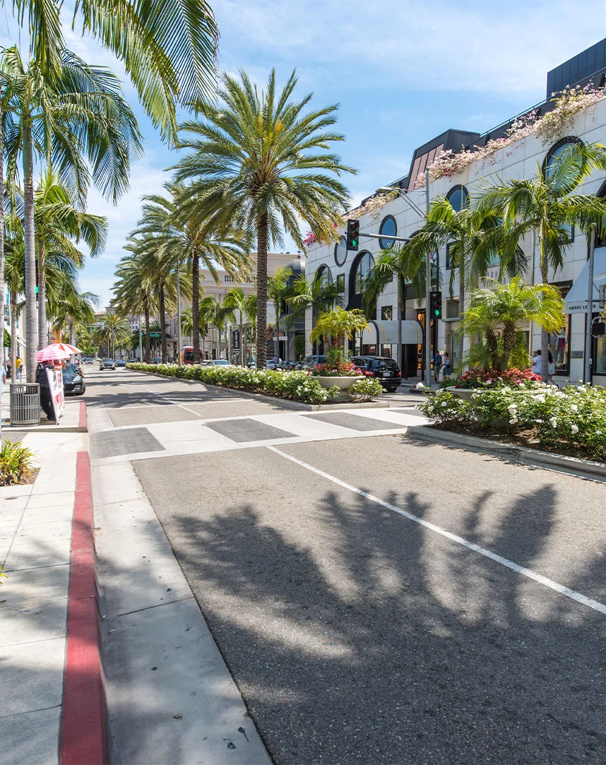 A city street photo in Santa Barbara. The street is clean, the only thing crossing the street is a cross walk. The street is lined with palm trees in front of storefronts: featuring circle windows. There is a palm tree shadow in the bottom end of the photo. - Out of town in Santa Barbara, CA